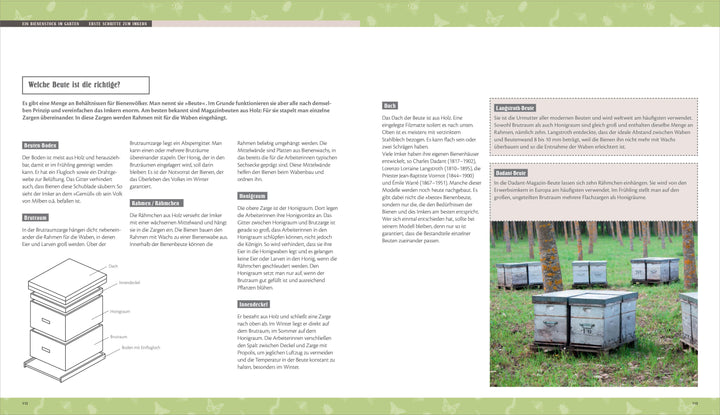 Biene, Igel, Schmetterling. So wird Ihr Garten zum Naturparadies | Levret, S...