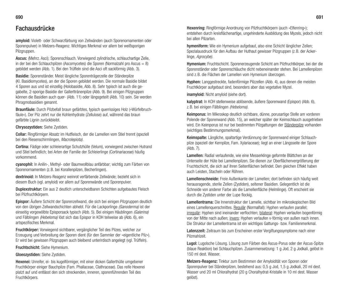 Der große BLV Pilzführer | Gerhardt, Ewald