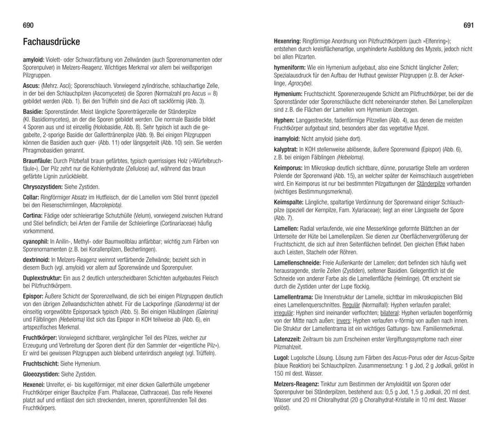 Der große BLV Pilzführer | Gerhardt, Ewald