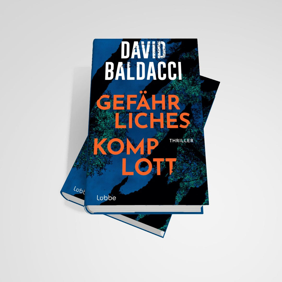Gefährliches Komplott | Baldacci, David