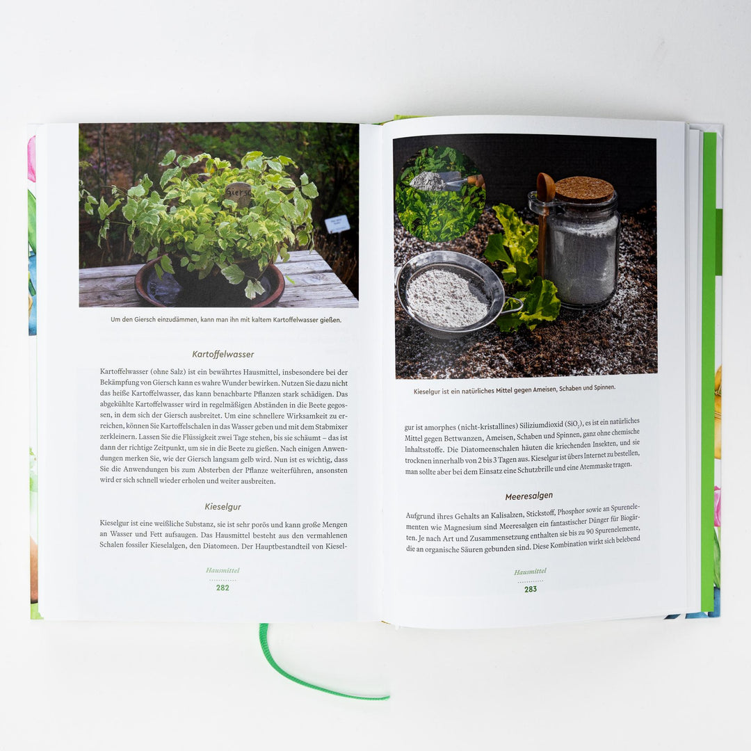 Der große Wadas | Wadas, René