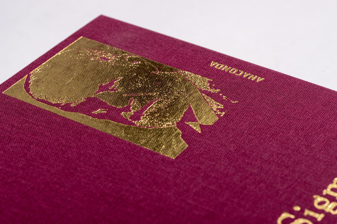 Sigmund Freud - Gesammelte Werke | Freud, Sigmund