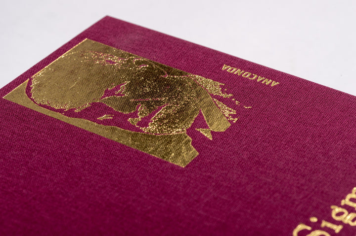 Sigmund Freud - Gesammelte Werke | Freud, Sigmund