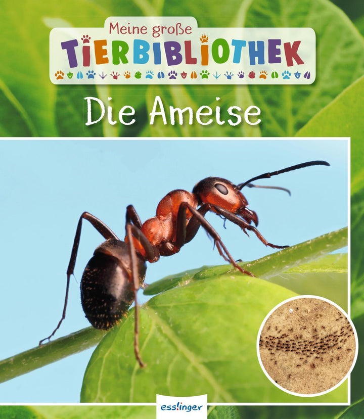 Meine große Tierbibliothek: Die Ameise | Gutjahr, Axel