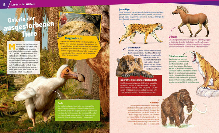 WAS IST WAS Band 13 Wilde Tiere. Ungezähmt in der Wildnis | Paxmann, Christine