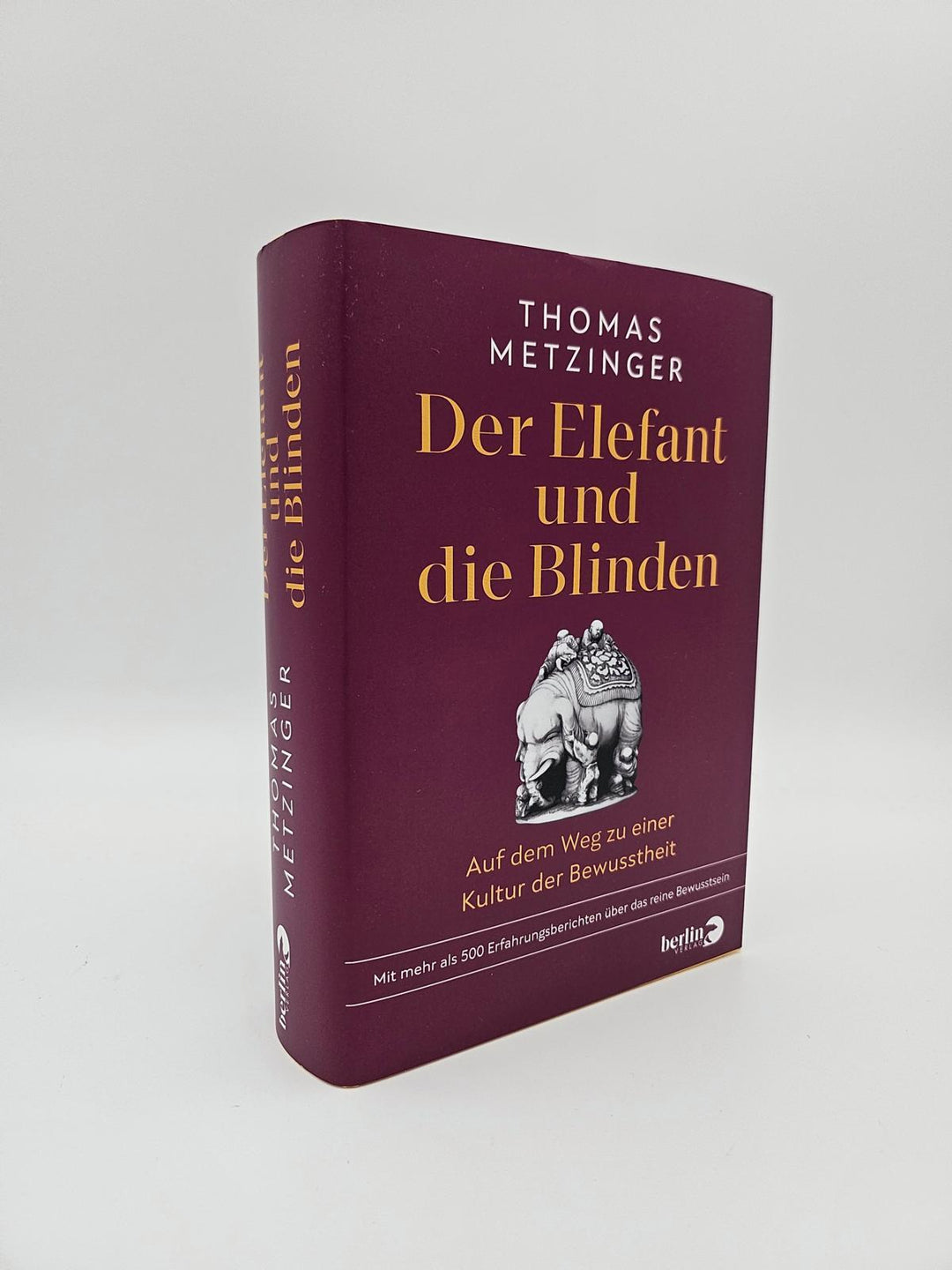 Der Elefant und die Blinden | Metzinger, Thomas