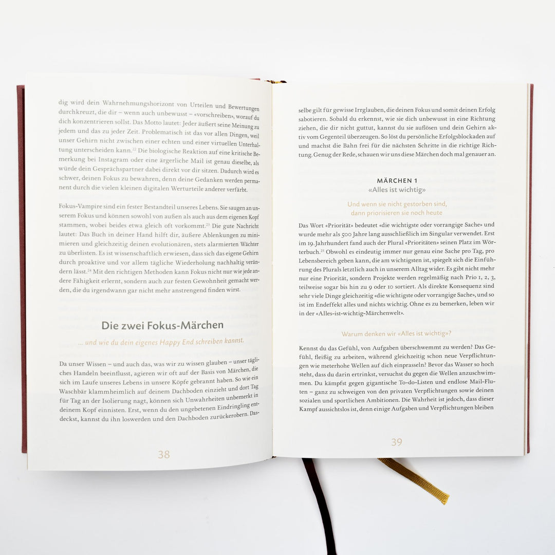 Das 6-Minuten-Erfolgsjournal (mittelblau) | Spenst, Dominik