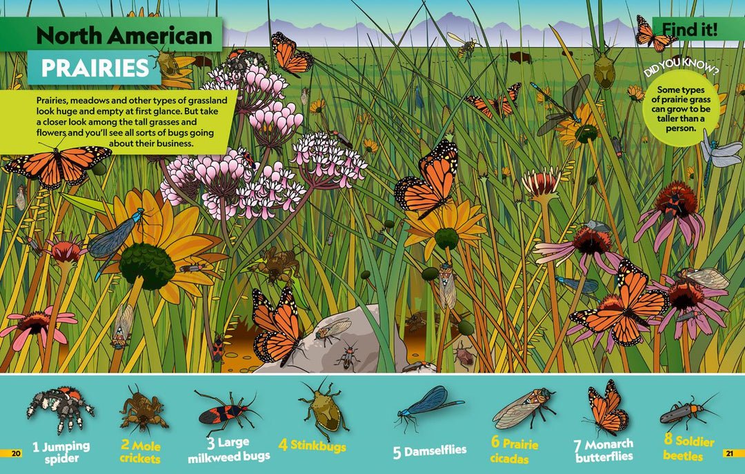 Insects Find it! Explore it! | National Geographic Kids