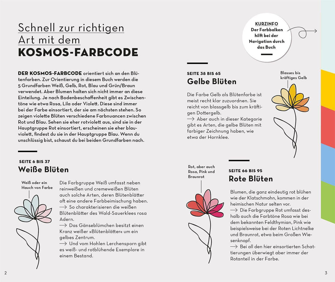 BASIC Blumen | Dreyer, Eva-Maria