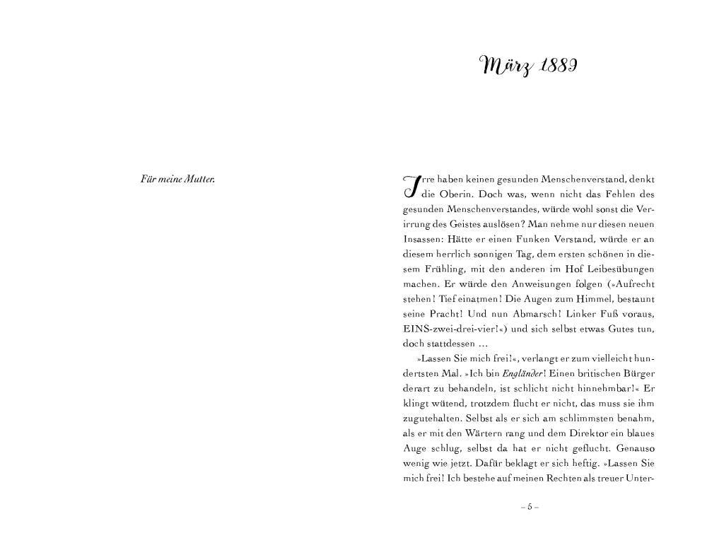 Der Fall der verhängnisvollen Blumen | Springer, Nancy