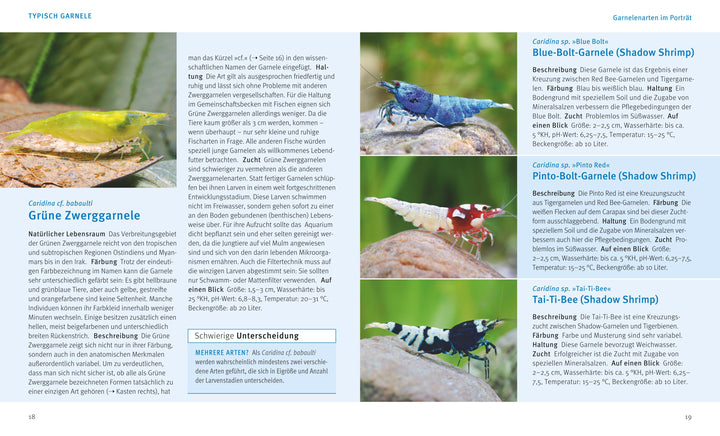 Süßwasser-Garnelen | Pekny, Reinhard | Lukhaup, Chris