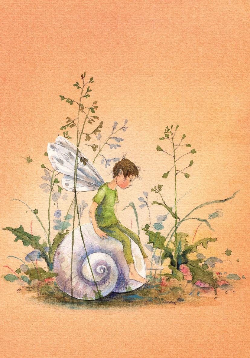 Postkartenbuch "Elfenträume" | Drescher, Daniela