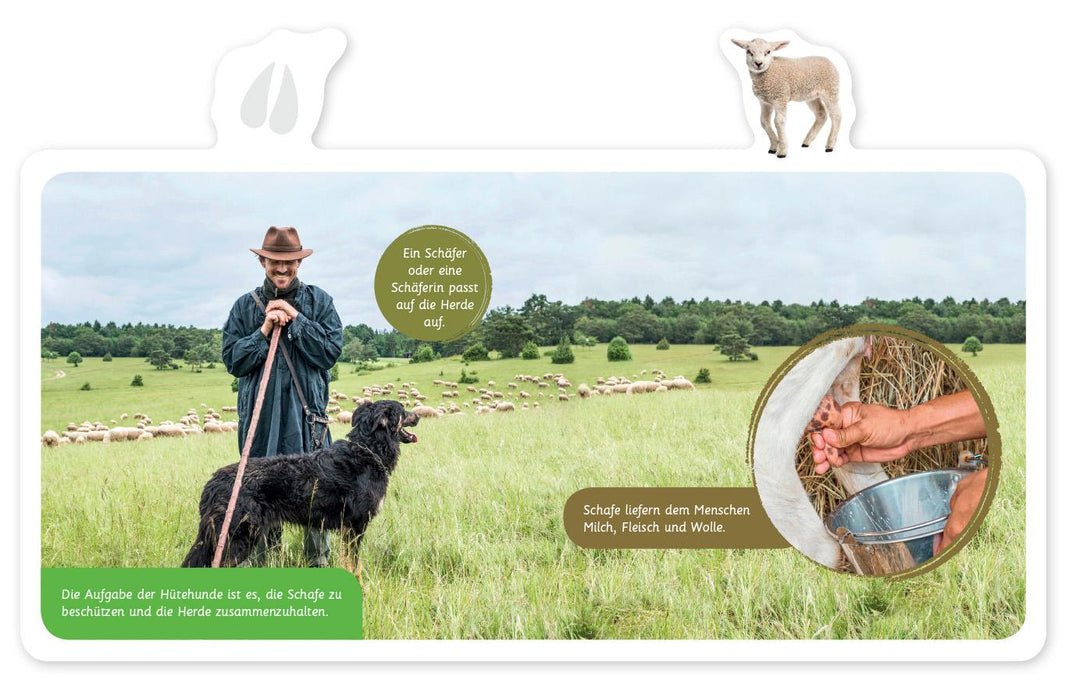 Mein kleines Tier-Lexikon - Das Schaf | -