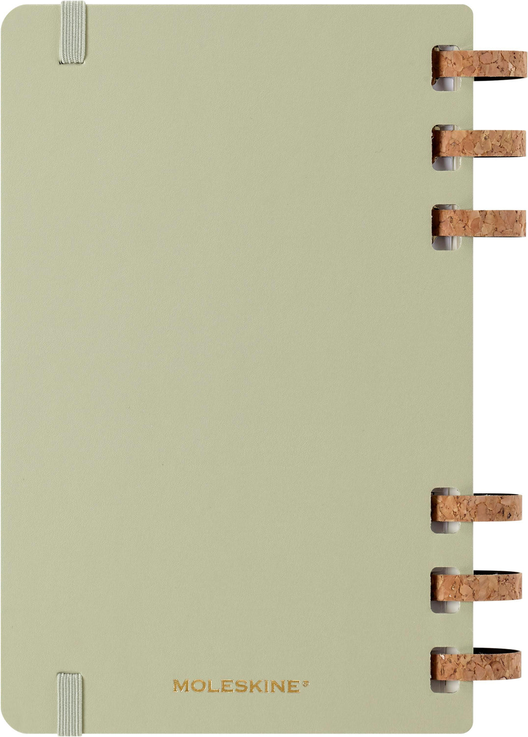 Moleskine 12 Monate Studienplaner mit Spiralbindung 2026, L/A5, Fester Einba...