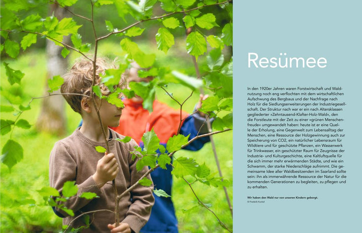 "Dich sah ich wachsen, Holz" | Schmidt, Uwe Eduard | Wallacher, Jörn