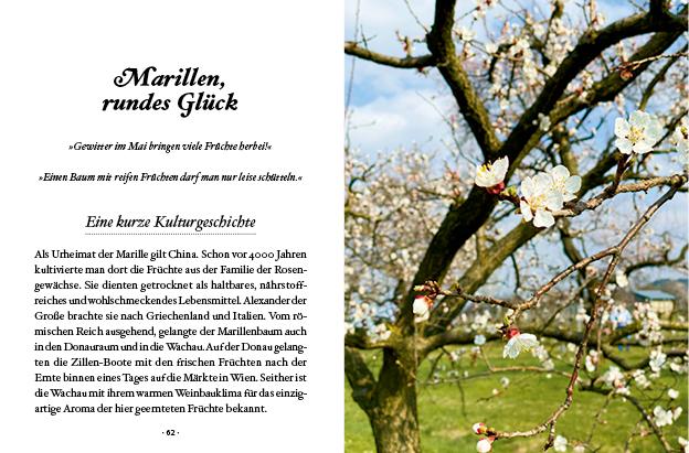 Das große kleine Buch: Obstbäume in unserem Garten | Papouschek, Elke