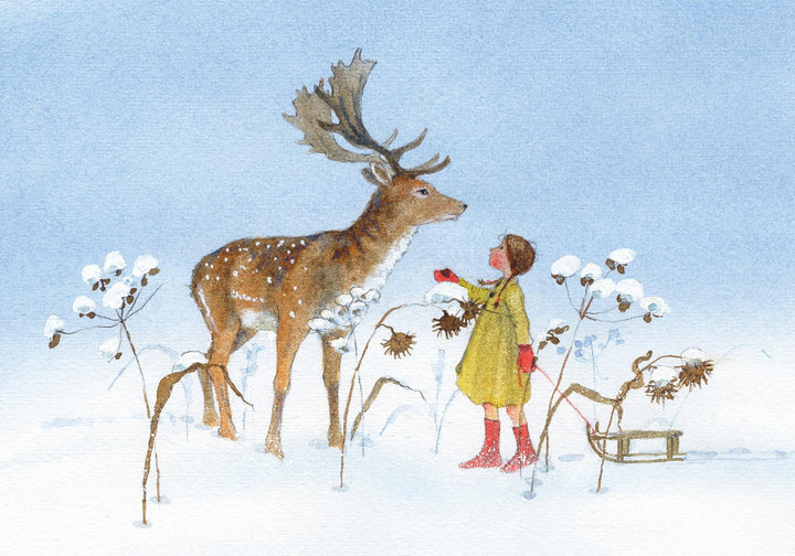 Postkartenbuch 'Waldkinder' | Drescher, Daniela