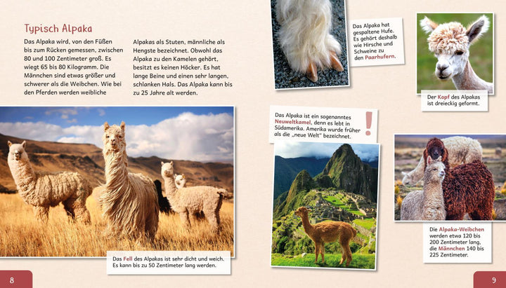 Meine große Tierbibliothek: Das Alpaka | Poschadel, Jens