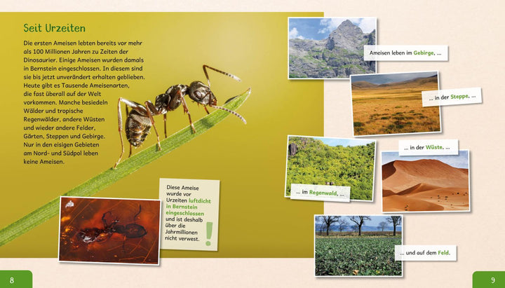 Meine große Tierbibliothek: Die Ameise | Gutjahr, Axel