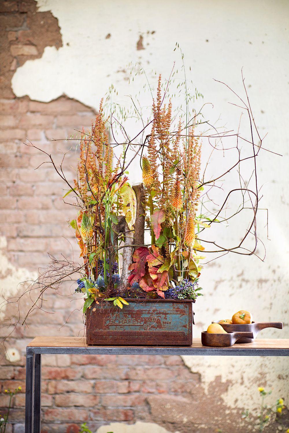 Neues aus der Naturwerkstatt | Wagener, Klaus | Wagener, Bernhild