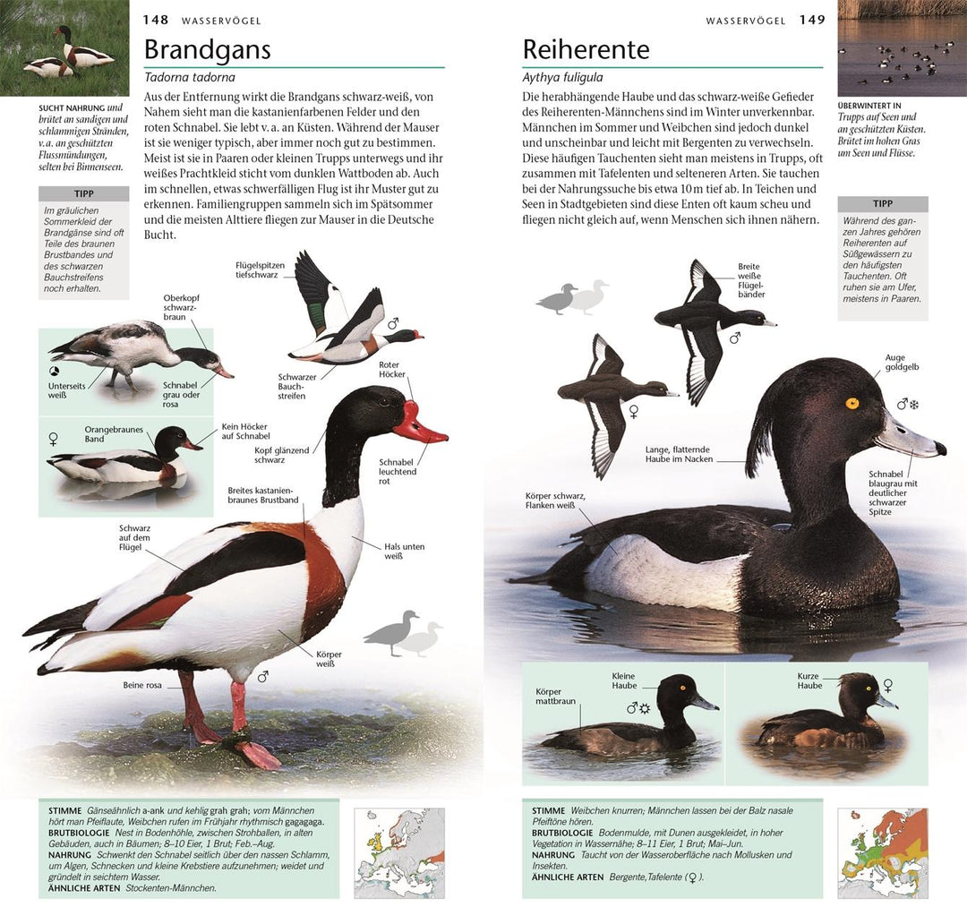 Vögel | Elphick, Jonathan | Woodward, John