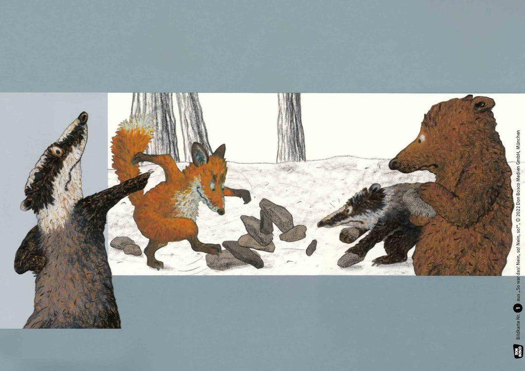 So war das! Nein, so! Nein so! Kamishibai Bildkartenset | Schärer, Kathrin