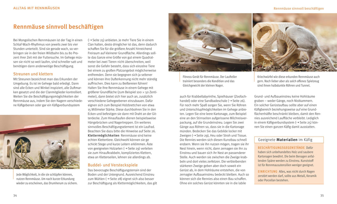 Rennmäuse | Kötter, Engelbert