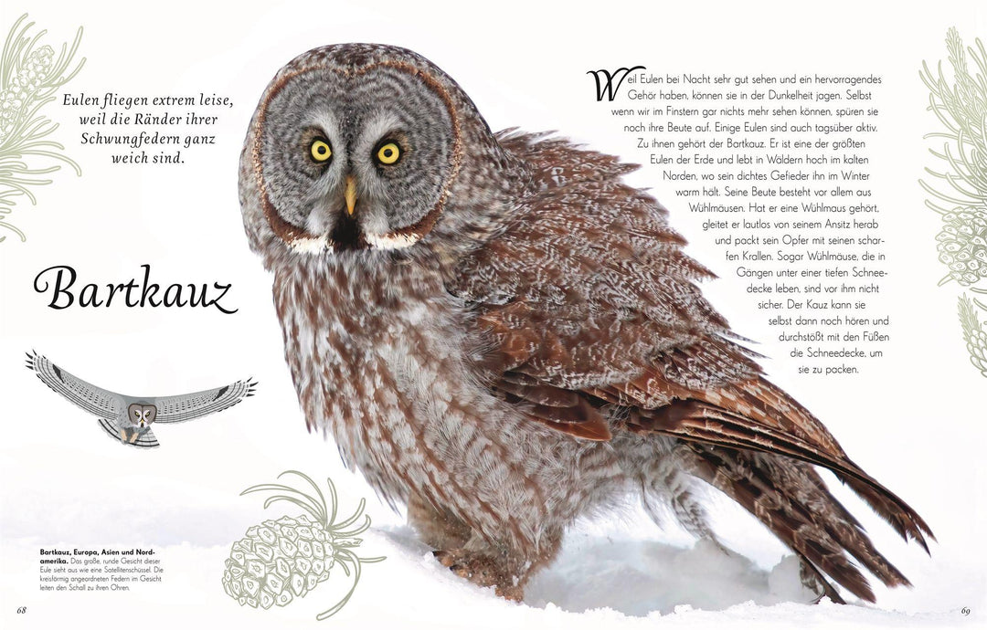 Wundervolle Welt der Vögel | Hoare, Ben