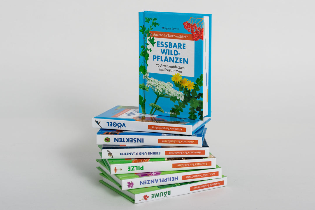 Anaconda Taschenführer Essbare Wildpflanzen. 70 Arten bestimmen und entdecke...