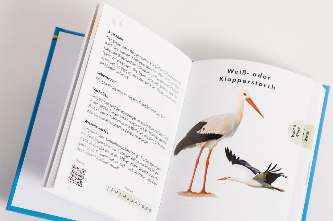 Anaconda Taschenführer Vögel. 70 Arten bestimmen und entdecken | Launois, Thomas