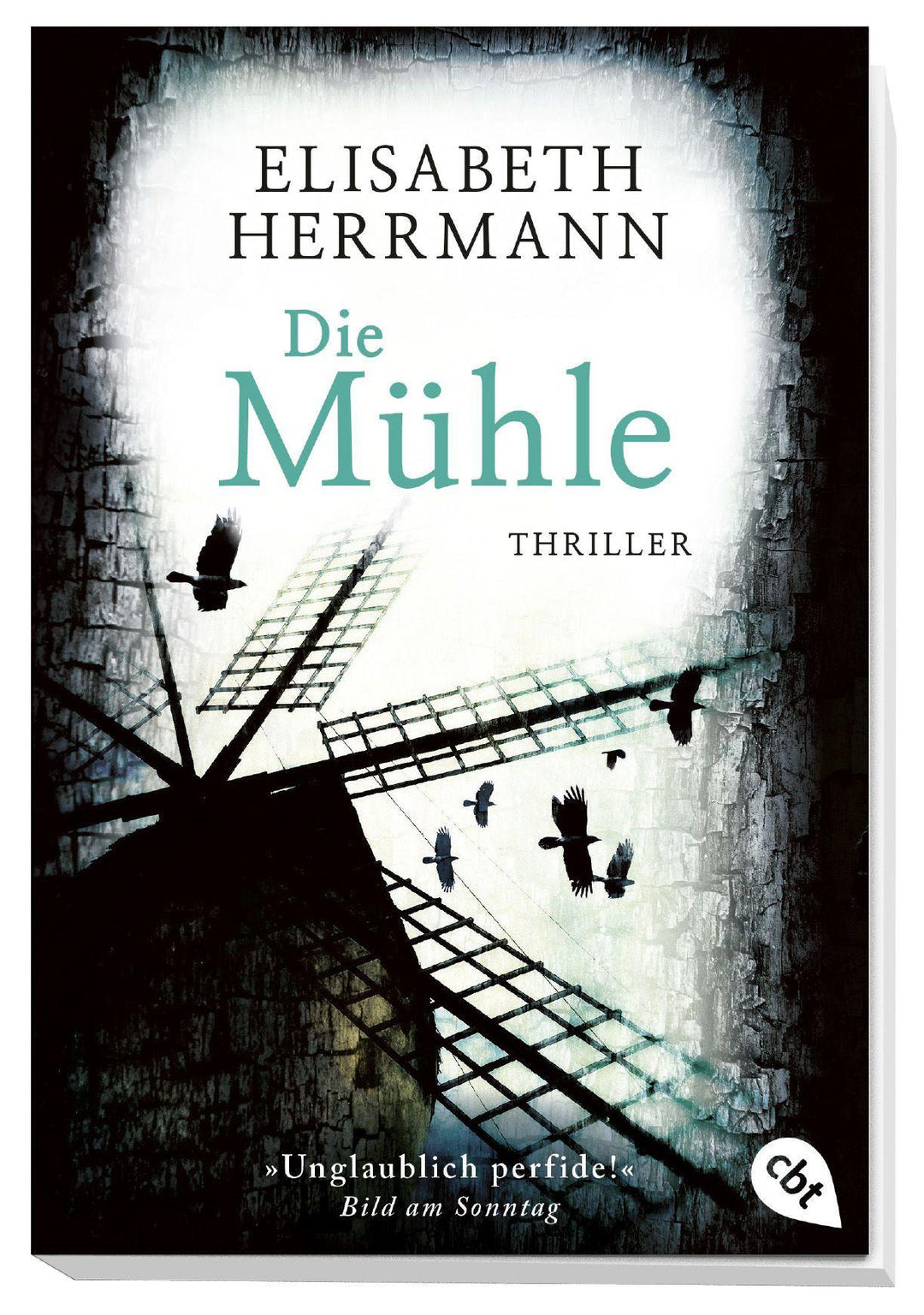 Die Mühle | Herrmann, Elisabeth