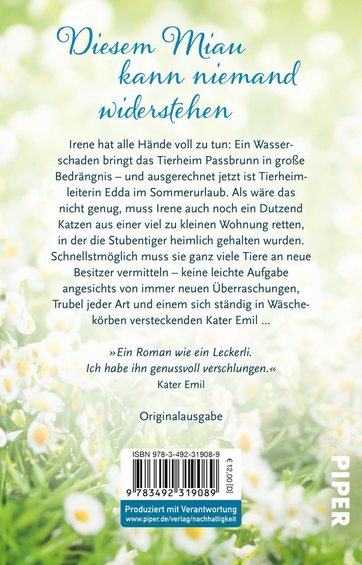 Samtpfötchen im Sonnenschein | Gerwens, Katharina