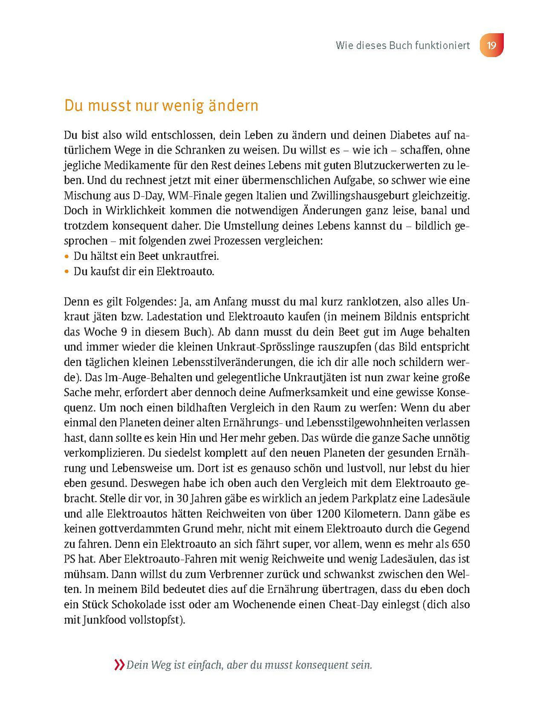 Der Anti-Diabetes-Plan - Das Praxisbuch | Limpinsel, Rainer