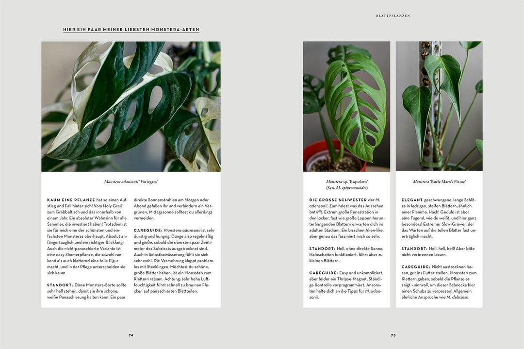 Zimmerpflanzenliebe | Hartwich, Antonia