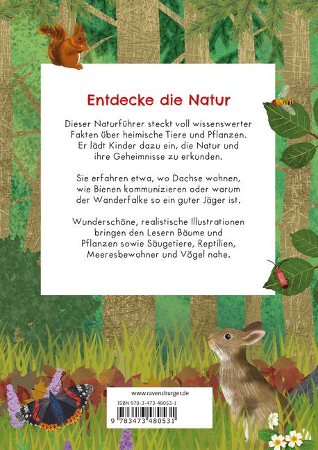 Der große Ravensburger Naturführer - Naturwissen für Kinder ab 5 Jahren | Br...