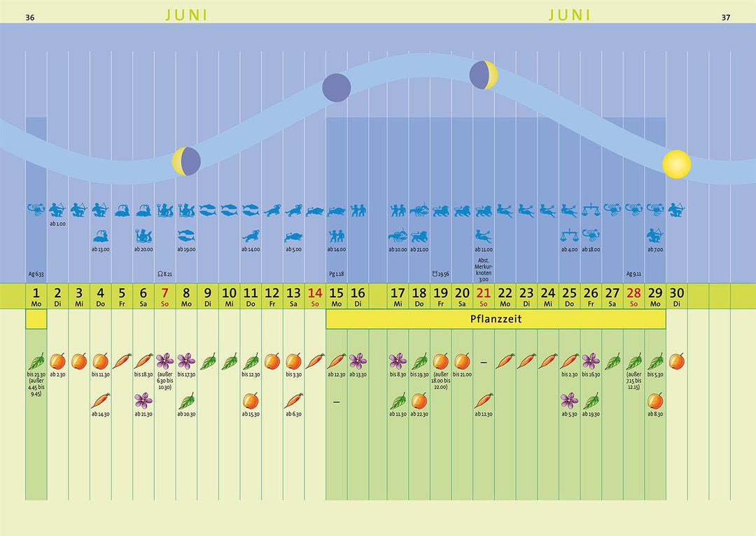 Kosmos Aussaattage 2026 | Berg, Peter