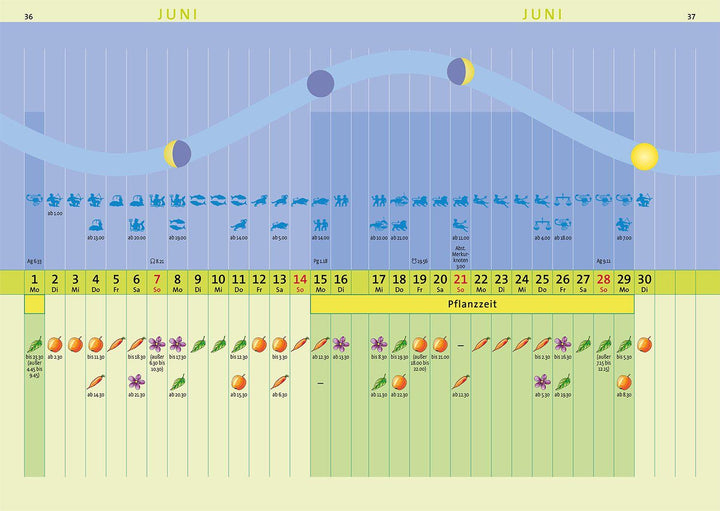 Kosmos Aussaattage 2026 | Berg, Peter