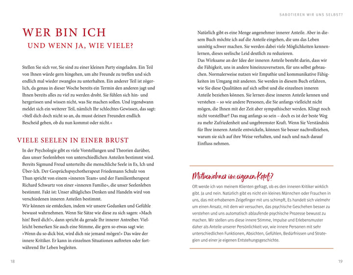 Der Feind in meinem Kopf | Hammer, Matthias