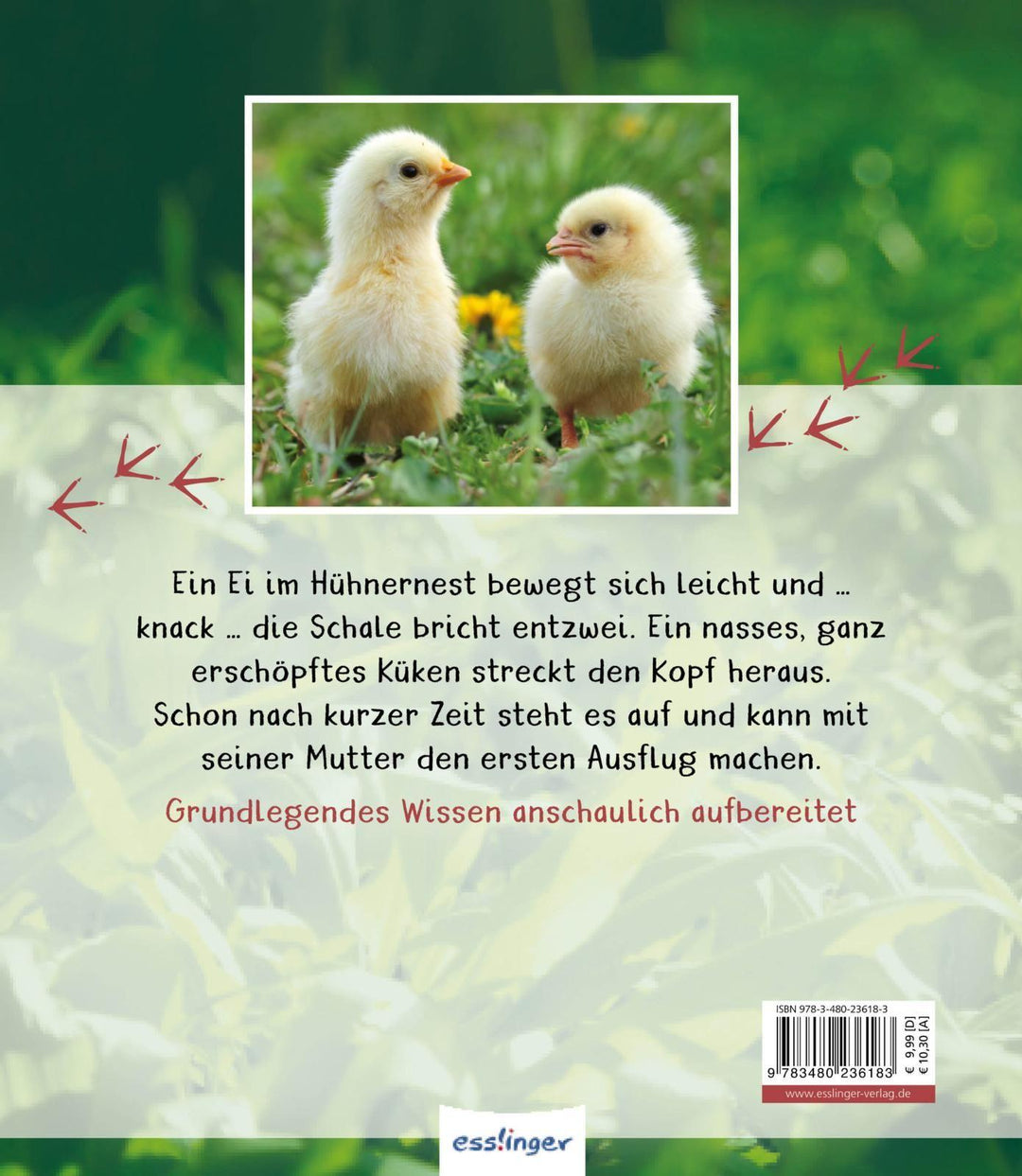 Meine große Tierbibliothek: Das Huhn | Havard, Christian | Tracqui, Valérie