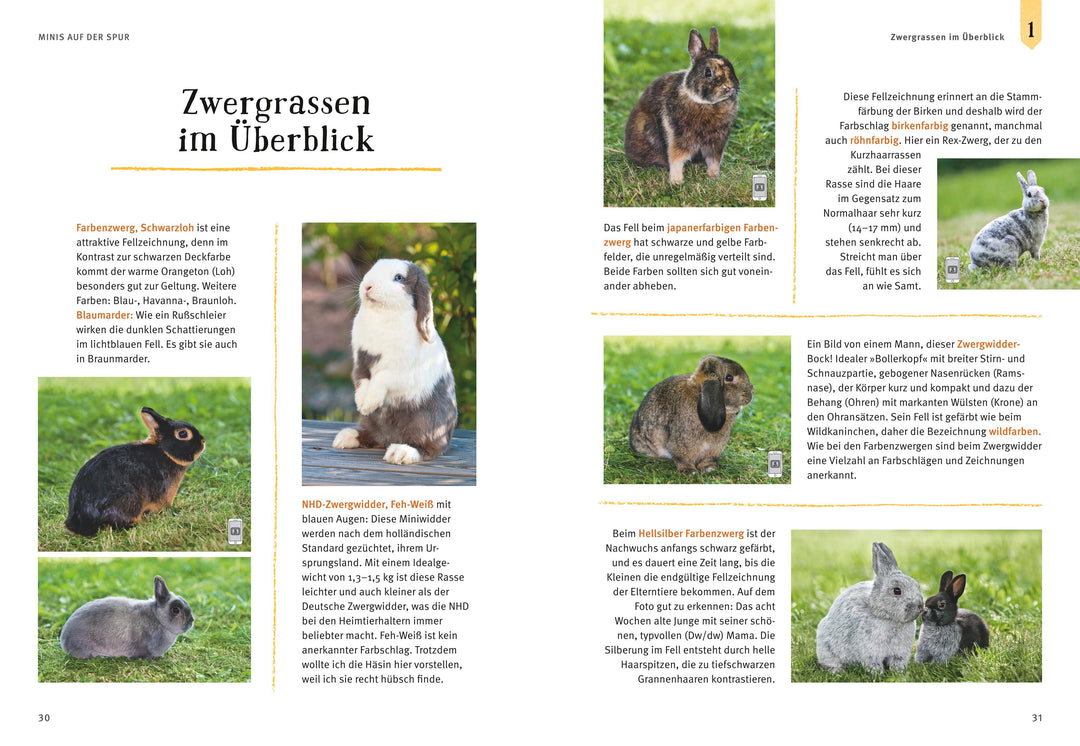 Liebenswerte Zwergkaninchen | Wegler, Monika
