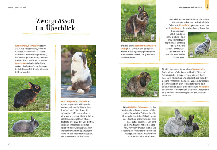 Liebenswerte Zwergkaninchen | Wegler, Monika