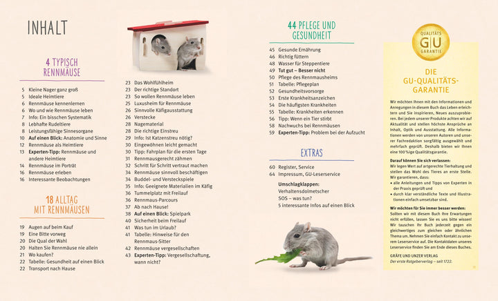 Rennmäuse | Kötter, Engelbert