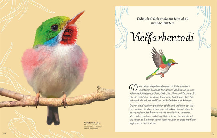 Wundervolle Welt der Vögel | Hoare, Ben