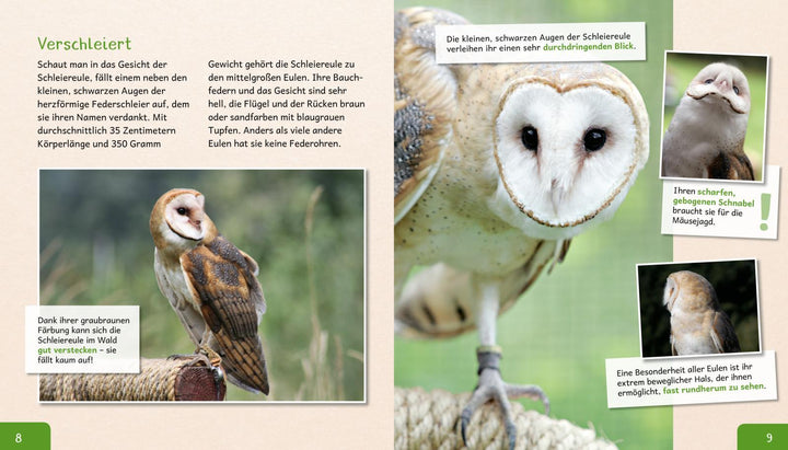 Meine große Tierbibliothek: Die Eule | Poschadel, Jens