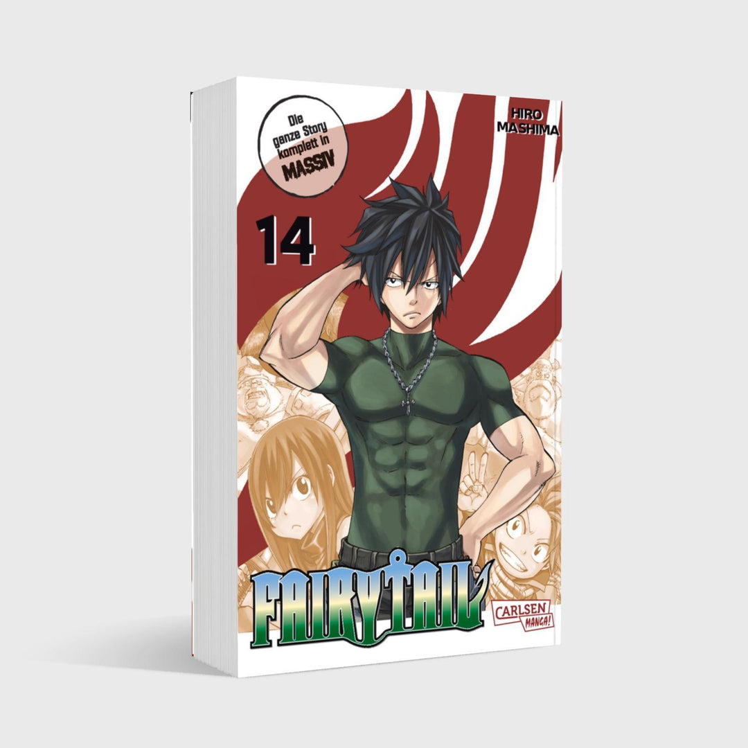 Fairy Tail Massiv 14 | Mashima, Hiro