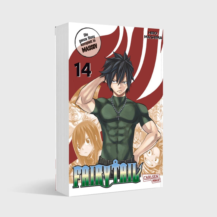 Fairy Tail Massiv 14 | Mashima, Hiro