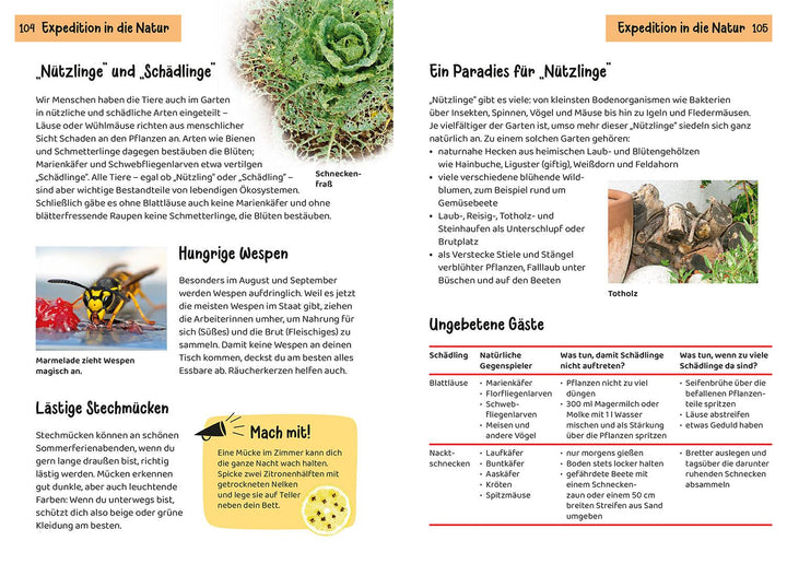 Was lebt im Garten? Kindernaturführer | Oftring, Bärbel