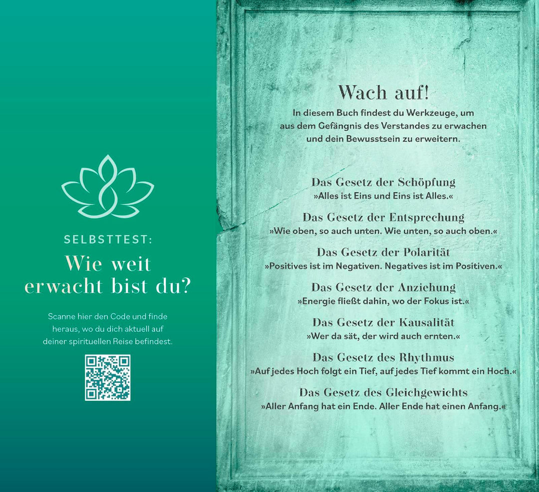 Higher Mind. Die Gesetze des Bewusstseins | Schwarz, Andreas