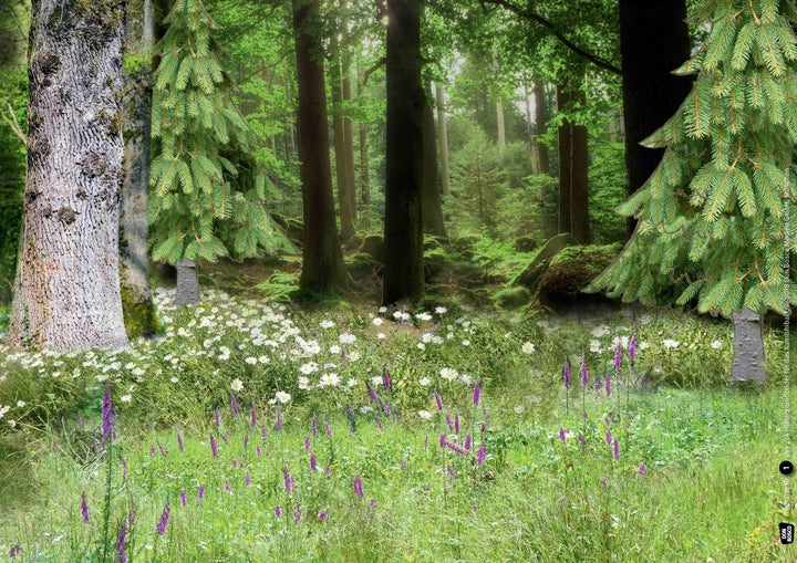 24 Hintergrundbilder für das Kamishibai | -