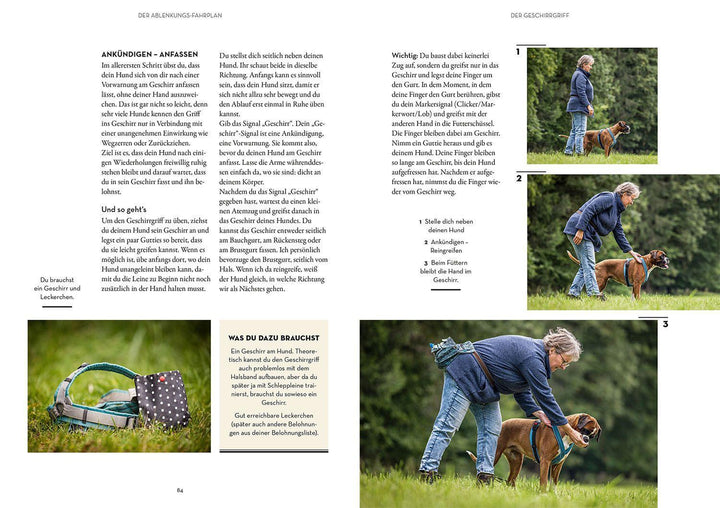 Raketenstart-Rückruf | Meiburg, Sonja